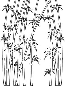 Vinilo Decorativo Bambú
