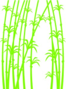 Vinilo Decorativo Bambú